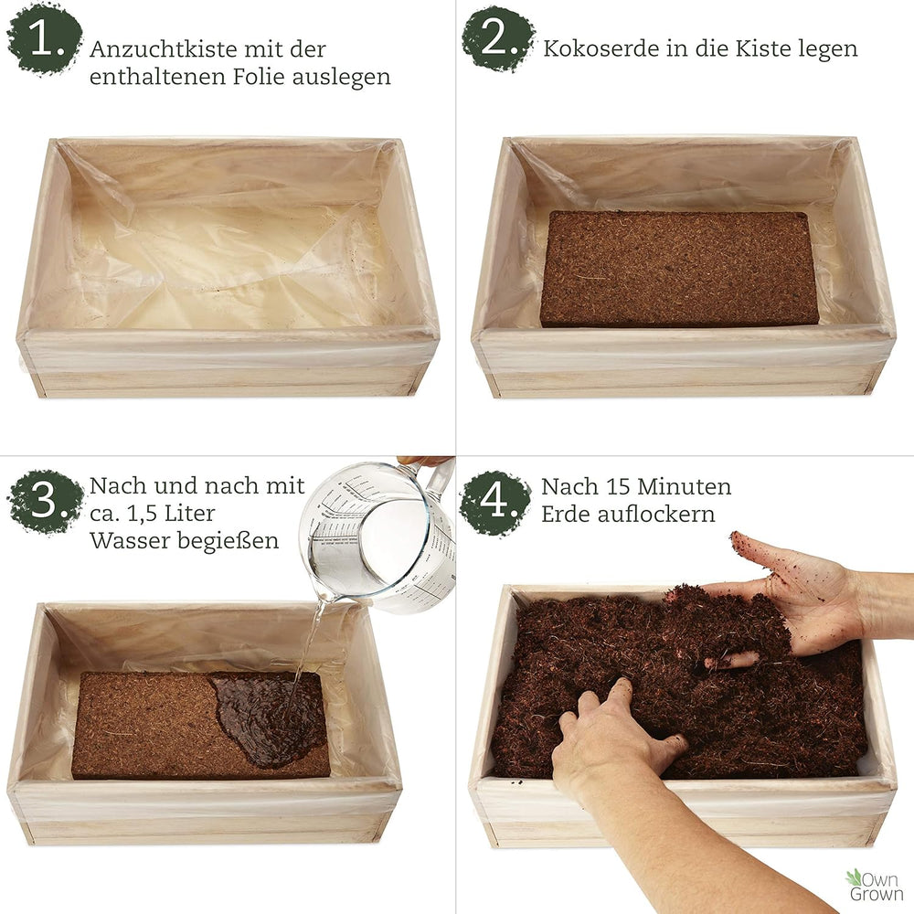 Seed Growing Kit with Wooden Box and 8 Varieties of Plant Seeds: Vegetable, Strawberry and Herb Seed Growing Kit for Kids - Mini Greenhouse and Mini Garden Starter Kit by OwnGrown