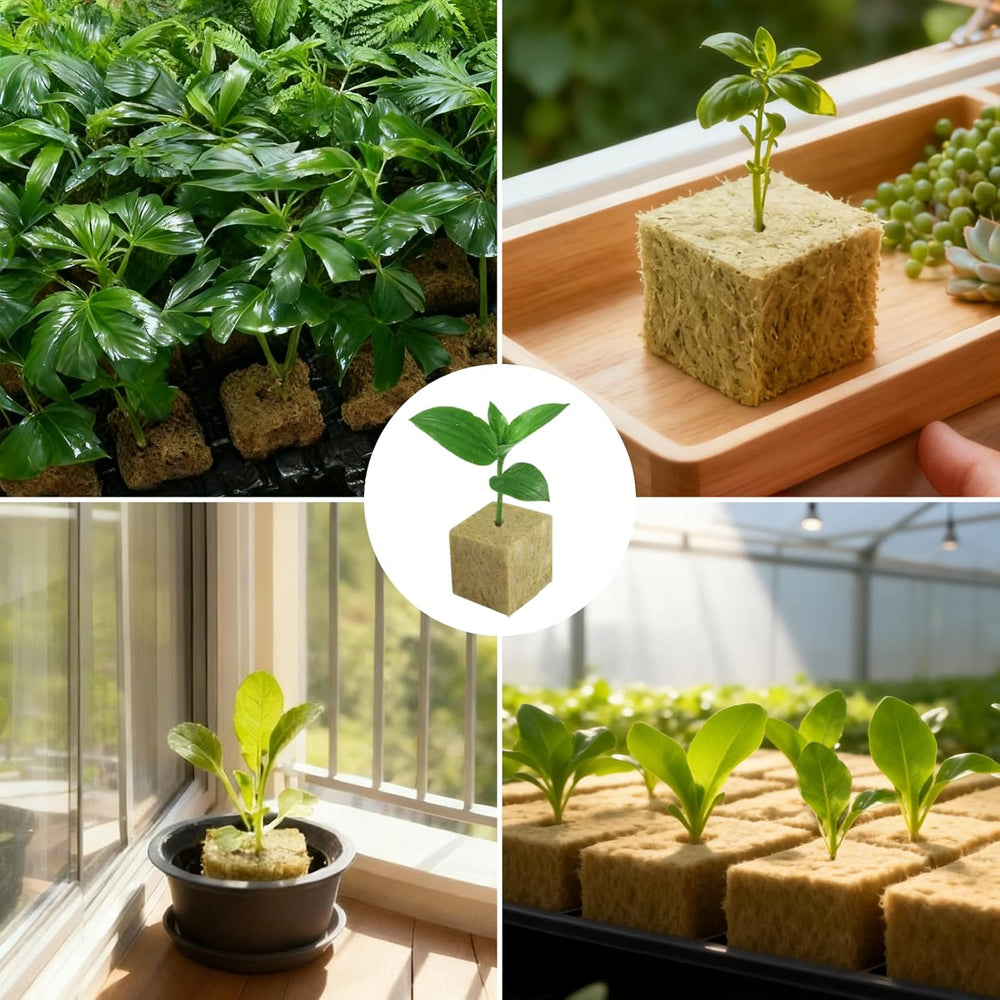 100 Rockwool Propagation Cubes 25x25x25mm With Gloves Rockwool Insulation Easy Plug Propagation Cubes Hydroponics Rockwool Cubes Cuttings Soilless Propagation