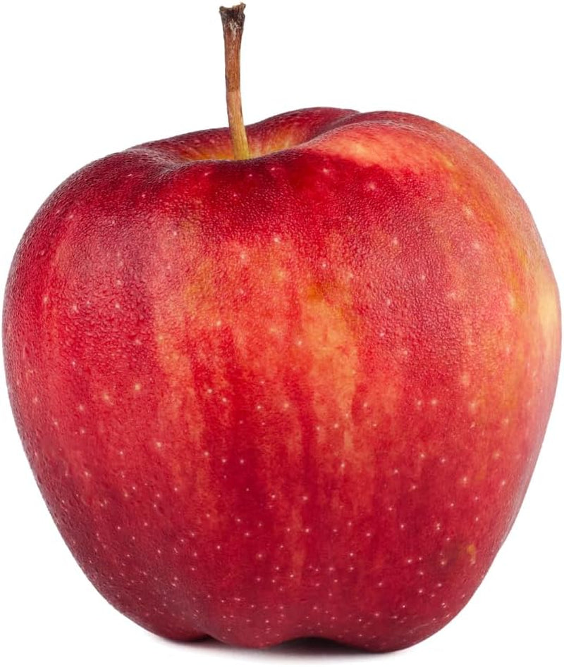Apfelbaum Fuji – Antike Sorte, Topf Ø 26 Cm, Max. Wuchshöhe 180 Cm Alter: 4 Jahre – Italienische Baumschule