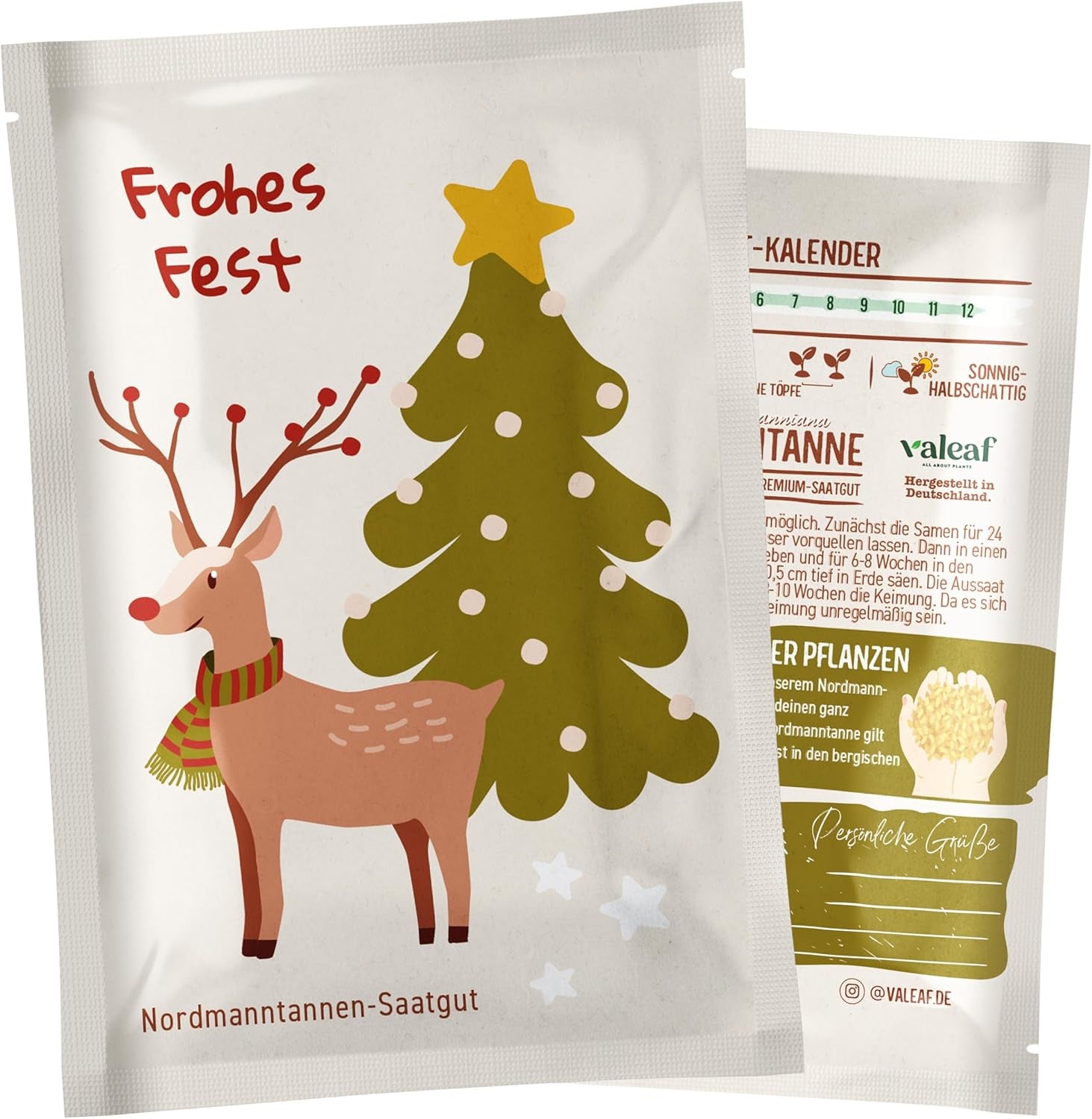 Christmas Tree 2030 - Nordmann Christmas tree seeds for planting a Christmas tree, ideal as a Secret Santa Christmas gift