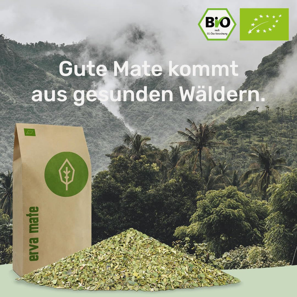 Set de degustare ceai Mate ● 4 sortimente de ceai Mate bio ● Câte 100 g Erva Mate + Yerba Mate + Ceai verde Mate + Ceai Mate prăjit
