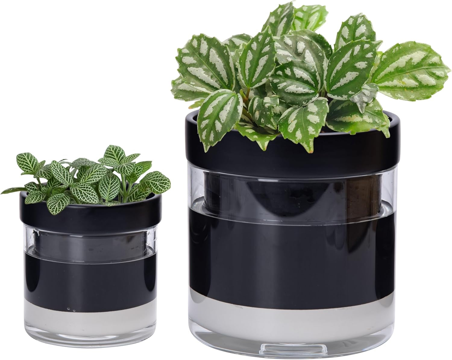 Ghiveci cu auto-udare, 15,2 cm, ghiveci din teracotă cu rezervor de sticlă pentru plante de apartament, ierburi aromatice, flori, 52-AF