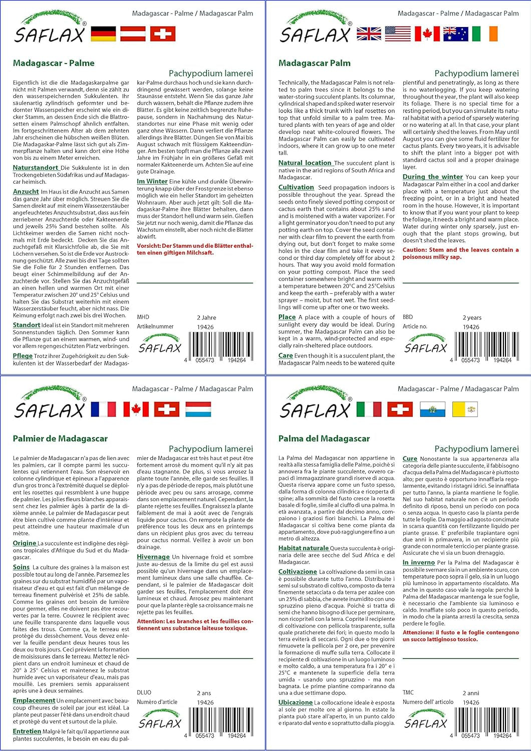 SAFLAX - Geschenk Set - Kakteen - Madagascar - Palme - 10 Samen - Mit Geschenk- / Versandbox, Versandaufkleber, Geschenkkarte Und Anzuchtsubstrat - Pachypodium Lamerei