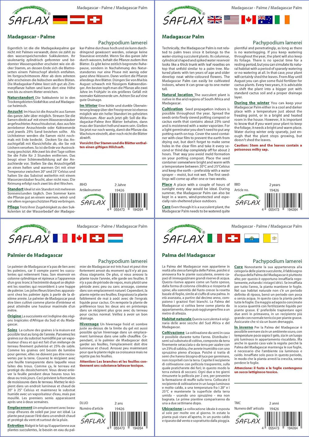 SAFLAX - Geschenk Set - Kakteen - Madagascar - Palme - 10 Samen - Mit Geschenk- / Versandbox, Versandaufkleber, Geschenkkarte Und Anzuchtsubstrat - Pachypodium Lamerei