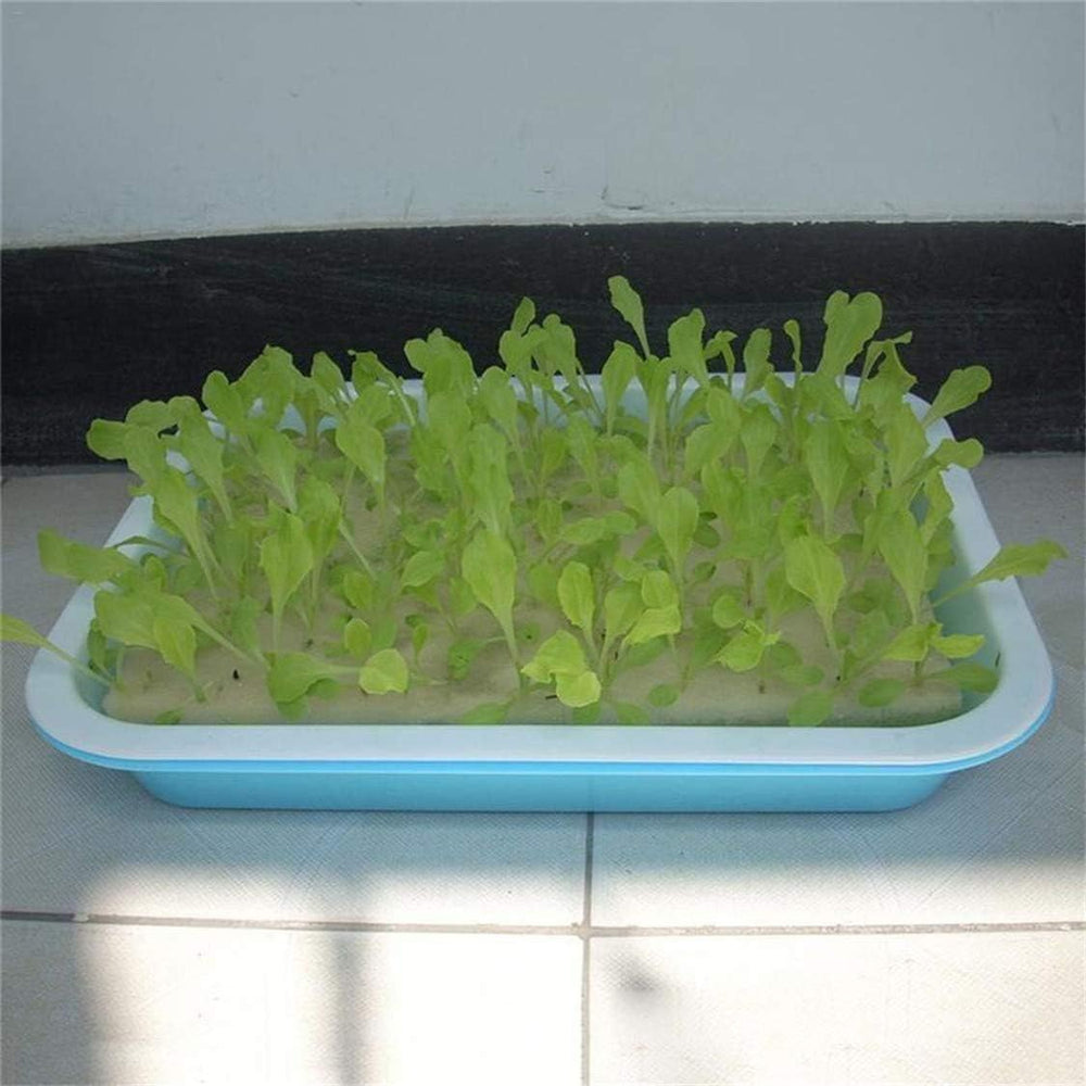 Hydroponic Sponge, 100 Pcs Hydroponic Sponges for Growing Seeds, Gardening Tool for Small Bud Plants or Seedlings