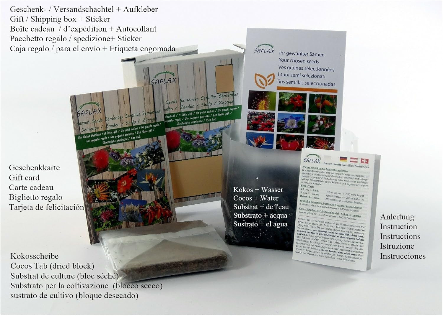 SAFLAX - BIO - Dandelion - 400 seeds - Taraxacum officinale