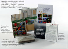 SAFLAX - BIO - Dandelion - 400 seeds - Taraxacum officinale