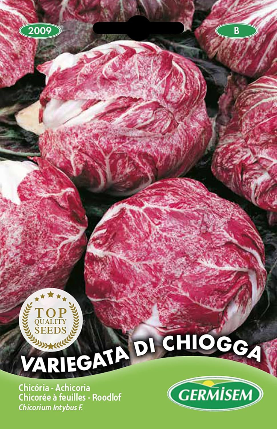 Radicchio DI CHIOGGA, Mehrfarbig, EC2009
