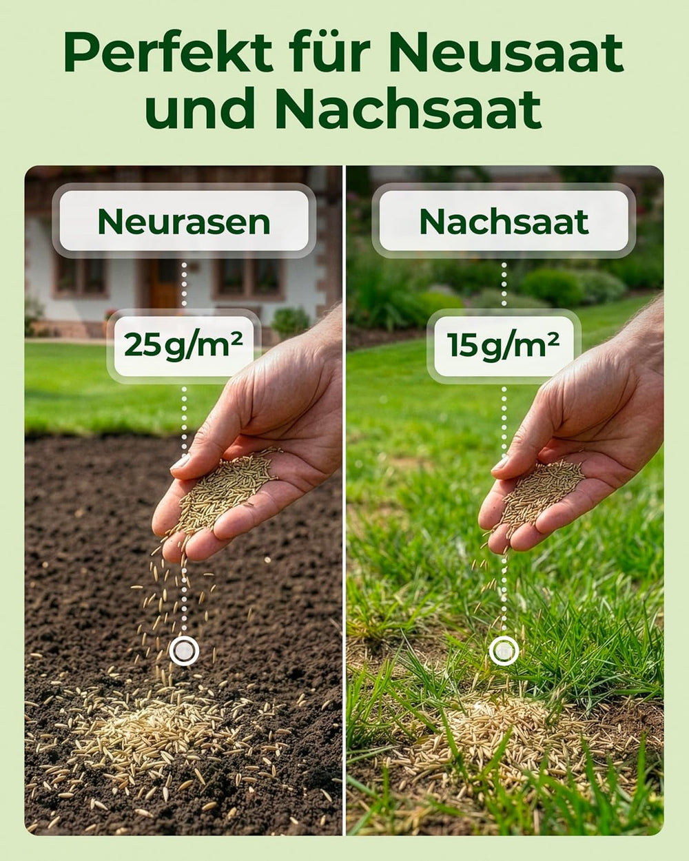 Rasensamen Schnellkeimend Frühjahr – TEST SEHR GUT – Grassamen Schnellkeimend Für Rasen & Rasen Nachsaat 10Kg 400Qm – Rasensaat Für Nachsaat Rasen Frühjahr, Saisonstart, Kräftiges Wachstum