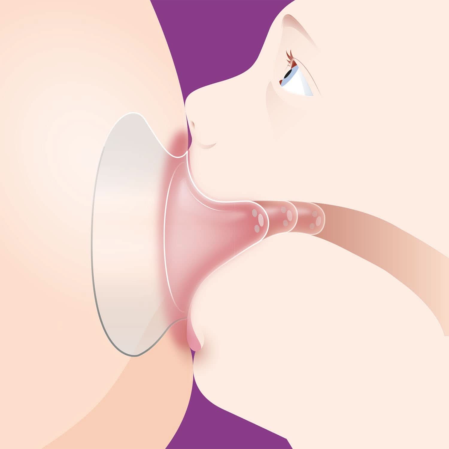 Philips Avent nipple protection (model SCF153/03) Accessories Food and Breastfeeding Bebe Naty Shop