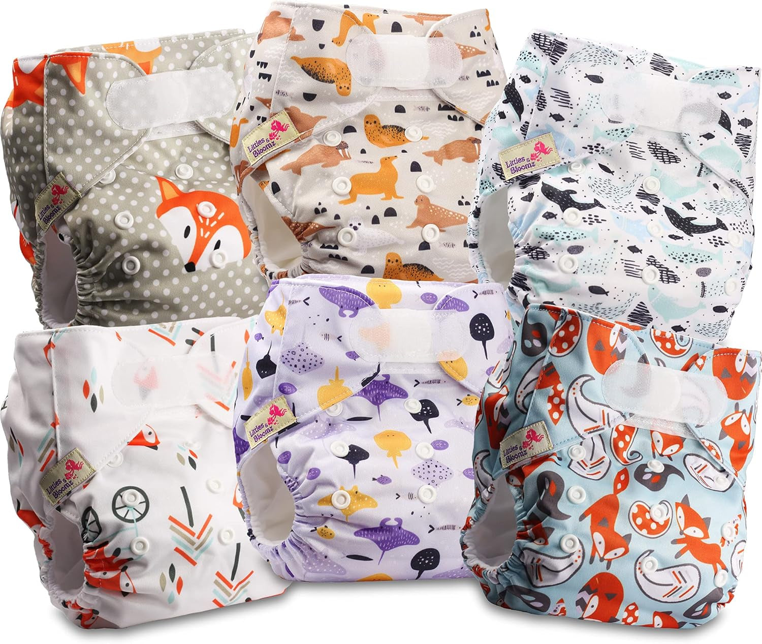 Littles and Bloomz Reusable Diaper FLV2-0602, Standard Hook and Loop Closure, 6 Diapers