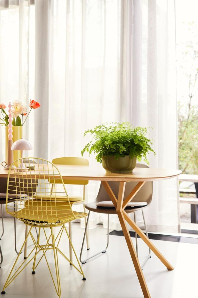 elho Vibes Fold Bowl 25 - Ghiveci de flori de interior - 100% plastic reciclat - Ø 24,9 x H 12,1 cm - Verde/Ferngrün