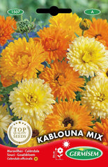 Marigolds, multicolored, EC1507