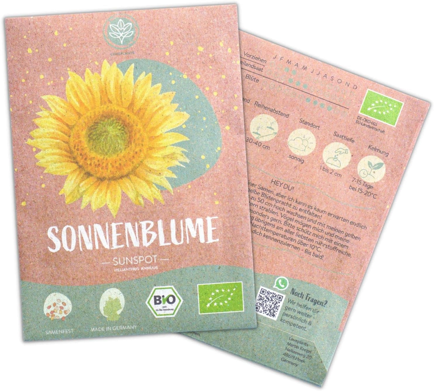 Organic sunflower seeds, branched, 20 sunflower seeds with a high germination rate, sunflower seeds for the garden, balcony, flowerbed or guest gift. Free pollinated flower seeds.