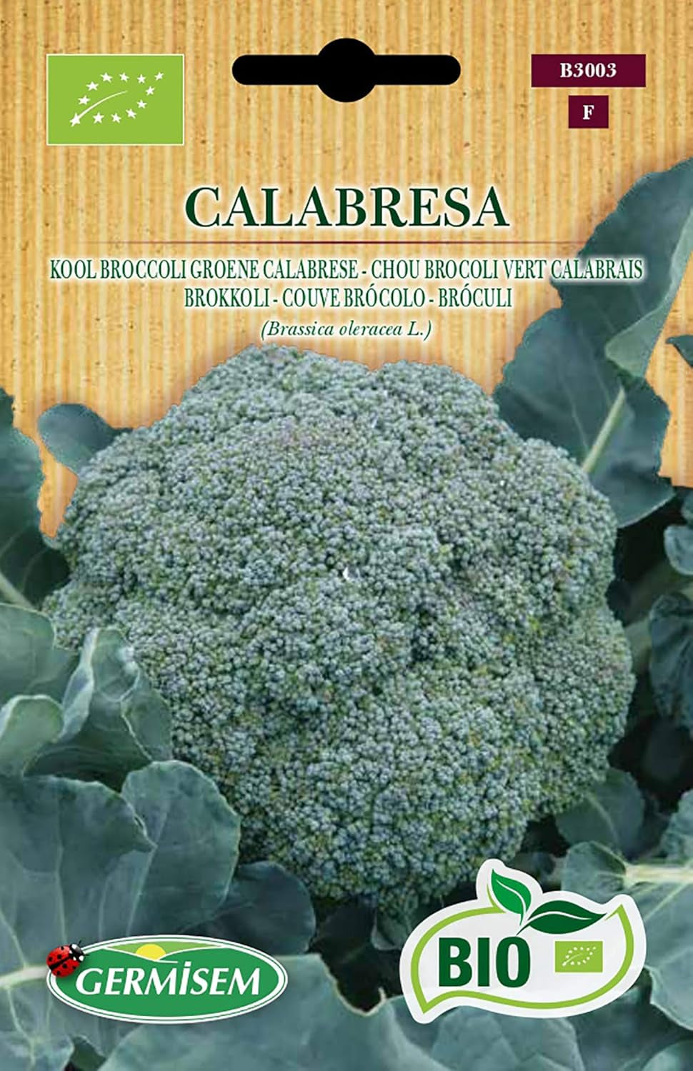 Brokkoli CALABRESA, ECBIO3003