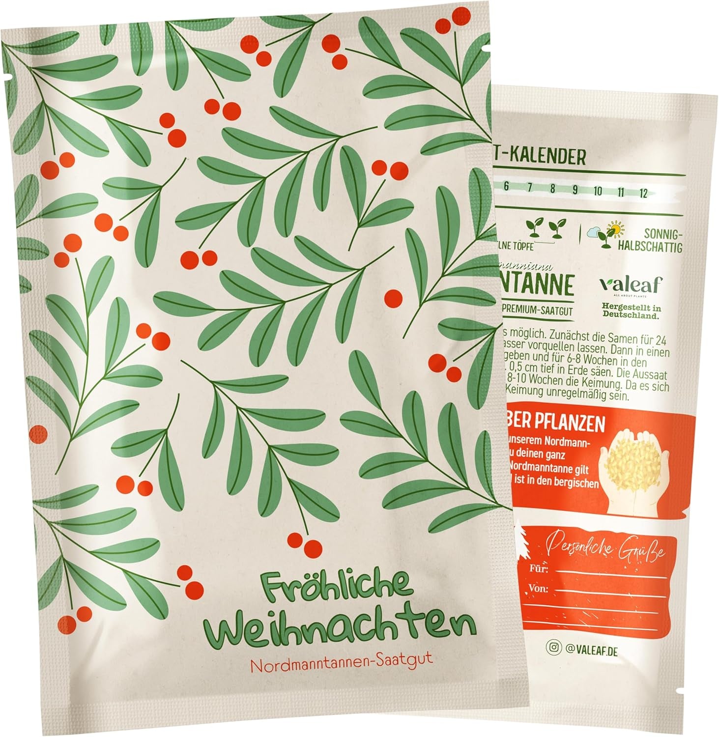 Christmas Tree 2030 - Nordmann Christmas tree seeds for planting a Christmas tree, ideal as a Secret Santa Christmas gift