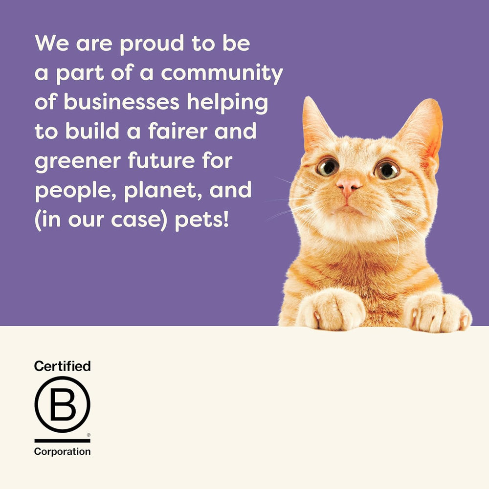 Applaws Hrană umedă premium 100% naturală pentru pisici adulte în bulion - Ton, pui, fructe de mare, selecție mixtă în bulion - Pachet de 12 conserve x 70 g