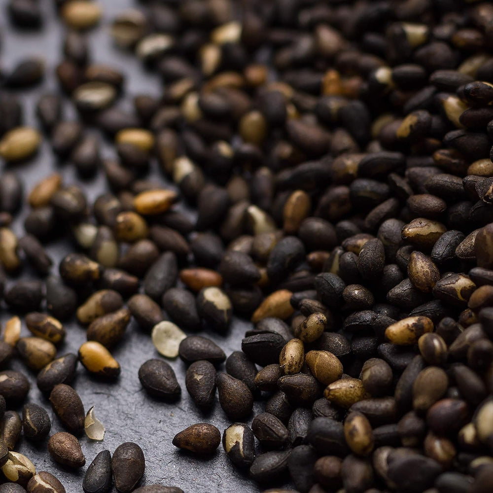 - Gerösteter schwarzer Sesame 150g | Ballaststoffreich | Protein sources vegan | Reiches Aroma | Antioxidant | Einfach streuen