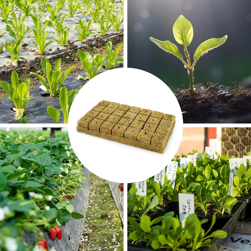 28 Rockwool Cubes, Rockwool Set, Rockwool Growing Mat, Soilless Hydroponic Growing Mat, Rockwool Cube, Rockwool Cubes for Cuttings, Cloning, Propagation 4*4*4cm