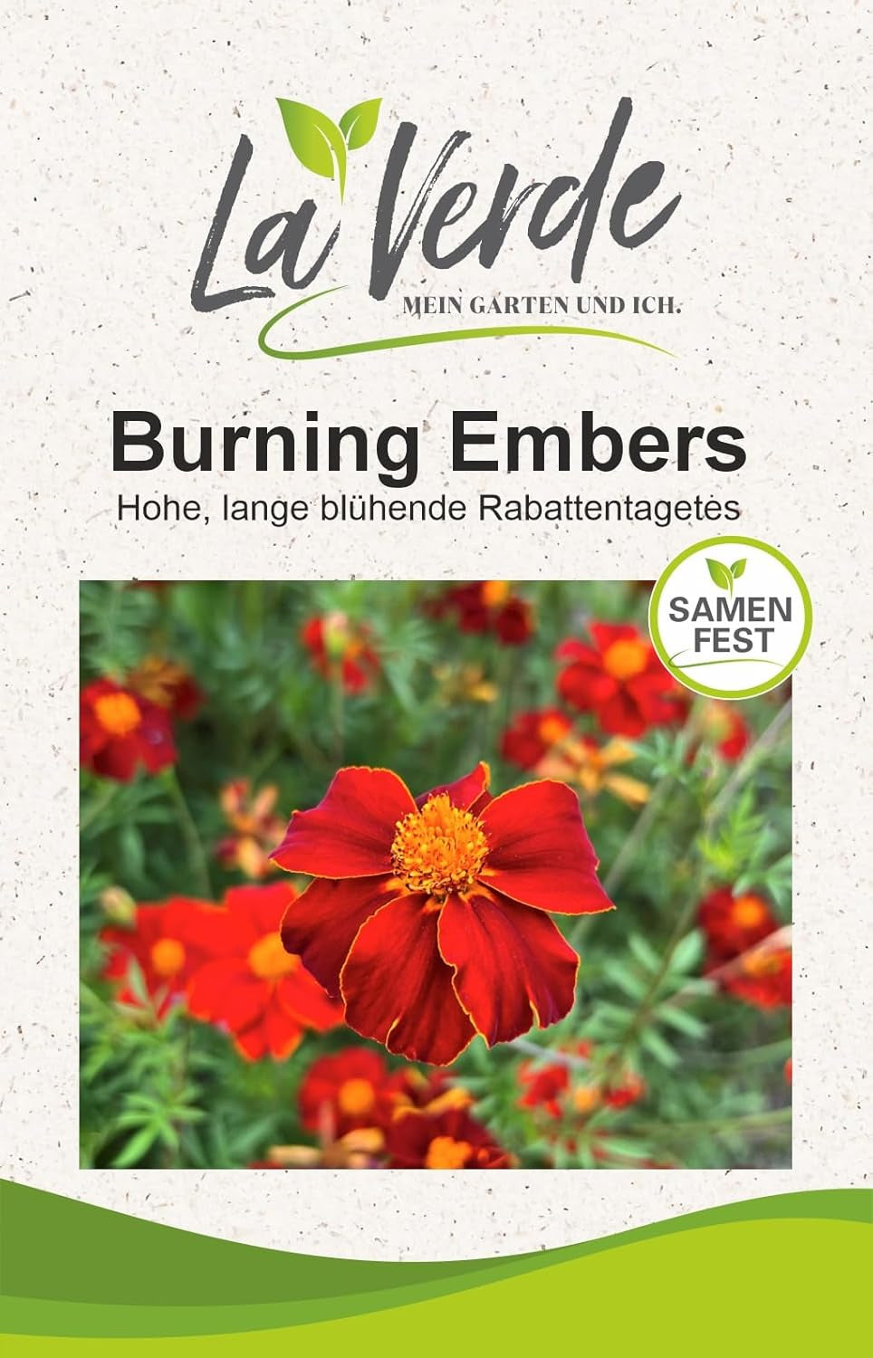 La Verde MY GARDEN AND ME. Tagetes Bonita Mix flower seeds for approx. 100 plants, long blooming marigolds, double flowers, non-GMO seeds