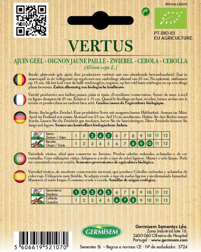 Zwiebel VERTUS, ECBIO1002