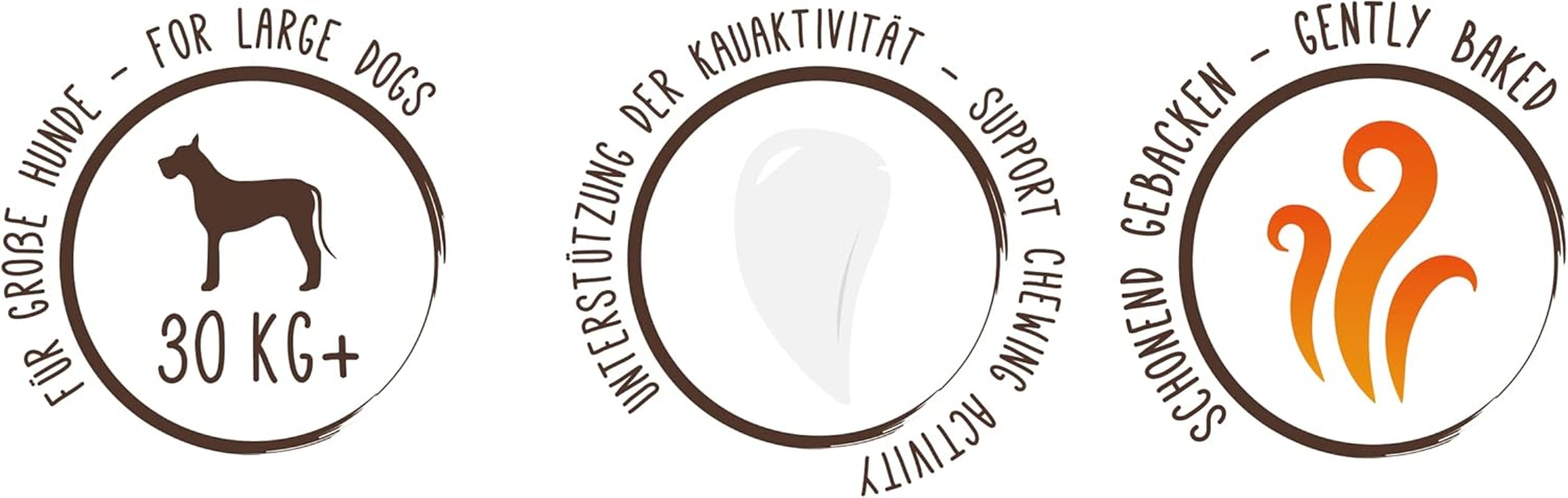 Sammy's Muesli Coins | Crunchy Baked Snacks for Dogs | 5 Grain Muesli Coins for Your Large Furry Friend (30kg+) | 1 kg