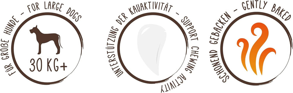 Sammy's Muesli Coins | Crunchy Baked Snacks for Dogs | 5 Grain Muesli Coins for Your Large Furry Friend (30kg+) | 1 kg