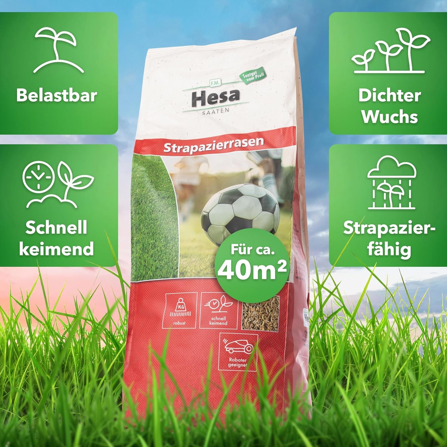 Hesa Sportrasen, 1 Kg Strapazierrasen Für Ca 40 M², Schnellkeimende Premium Rasensamen Für Starke Beanspruchung, Fussballrasen, Sportplatzrasen in Profiqualität, Auch Für Nachsaat