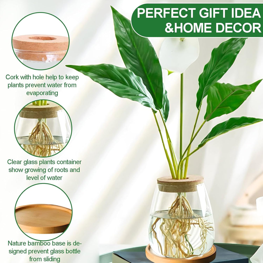 Hydroponic Plant Grow Station 12x11cm Avocado Seed Vase Glass Planter Hydroponic Glass Vase for Aquatic Plants or Flowers Desk Table Decor 2pcs