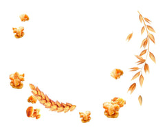 Dr. Oetker Vitalis Less Sweet Crunchy Pure: Crunchy muesli with 30% less sugar, pack of 5 (5 x 600g)