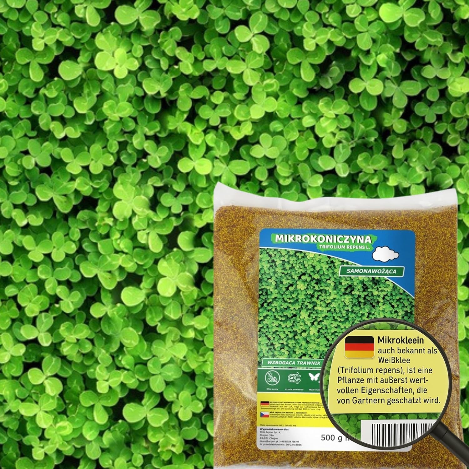 Flower Meadow - Bee Friendly Flower Seed Mix - Wildflowers and Grasses for Dry Locations - Wildflower Seeds - Annual and Perennial Seed Mix