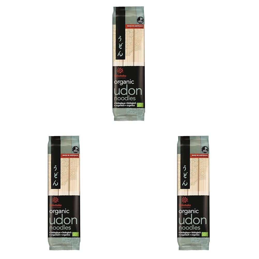 Japanische Bio Ramen Nudeln, 270 g