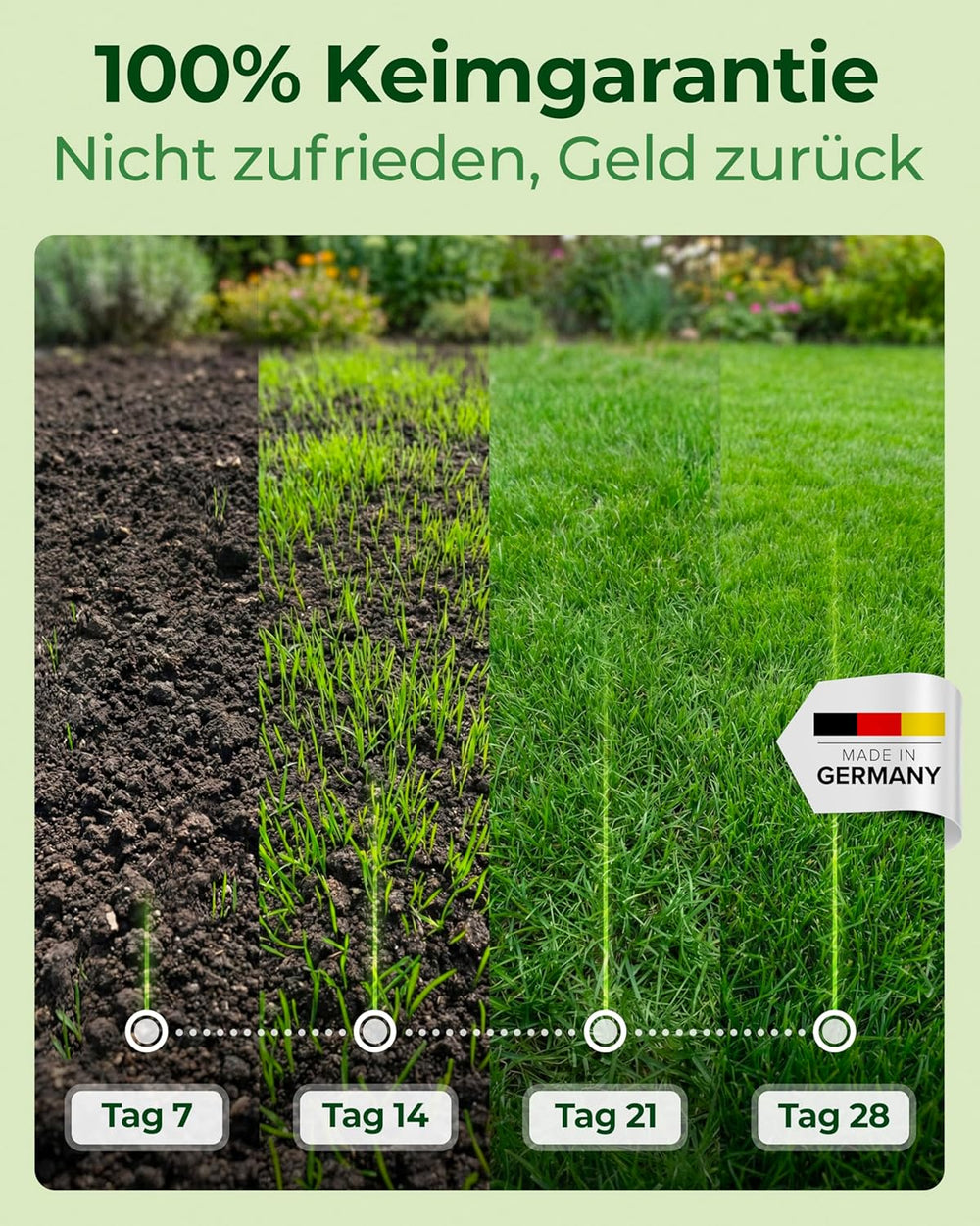 Rasensamen Schnellkeimend Frühjahr – TEST SEHR GUT – Grassamen Schnellkeimend Für Rasen & Rasen Nachsaat 10Kg 400Qm – Rasensaat Für Nachsaat Rasen Frühjahr, Saisonstart, Kräftiges Wachstum