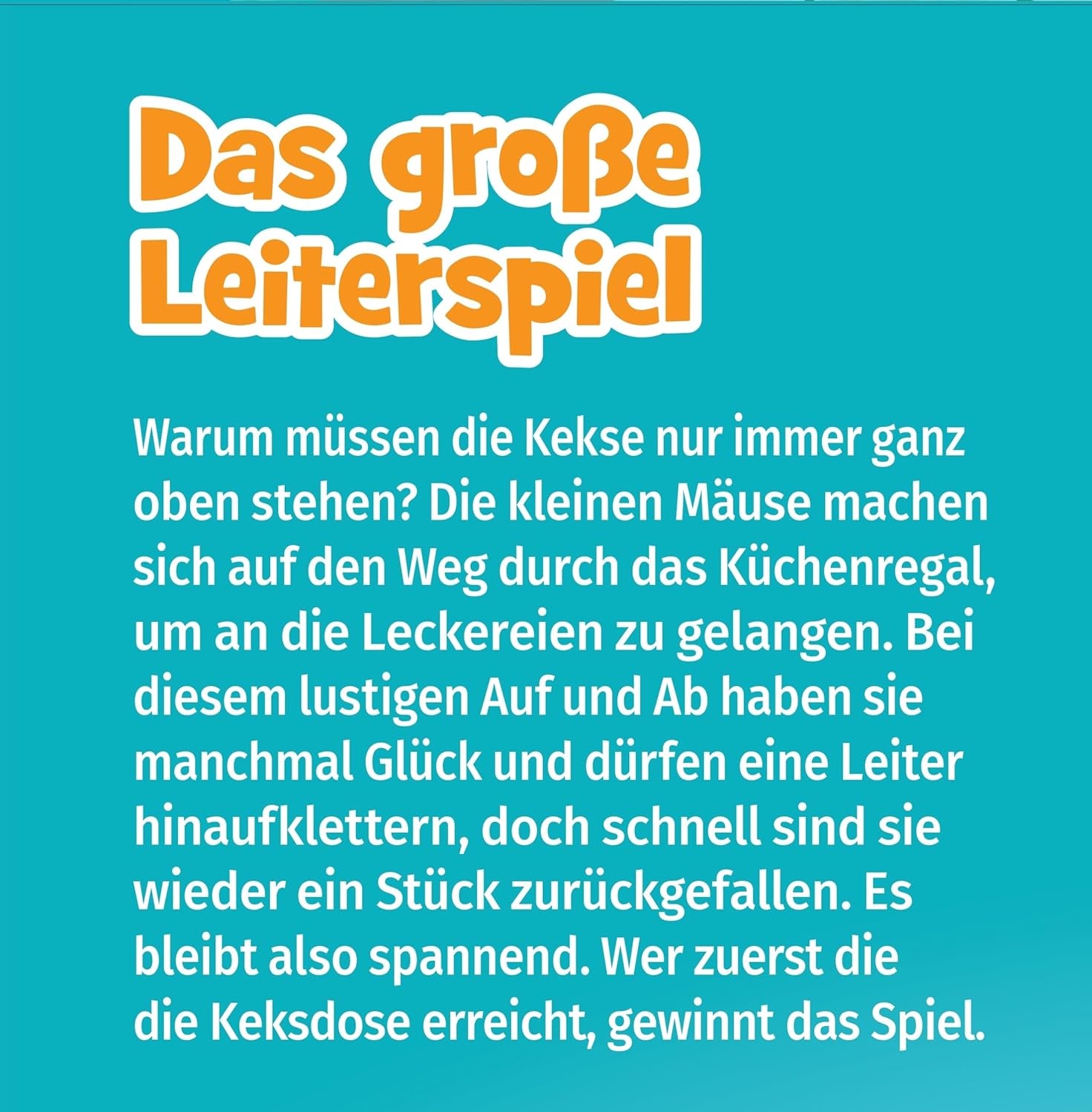 Schmidt Spiele 40553 Large Ladder Game, Game for children, 52 x 36 cm