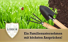 Rasensamen Frühjahr Frühlingsrasen 1Kg Rasensamen Schnellkeimend Für Neuanlage Und Nachsaat Zur Rasenreparatur Nach Winter Und Frostschäden Saatgut