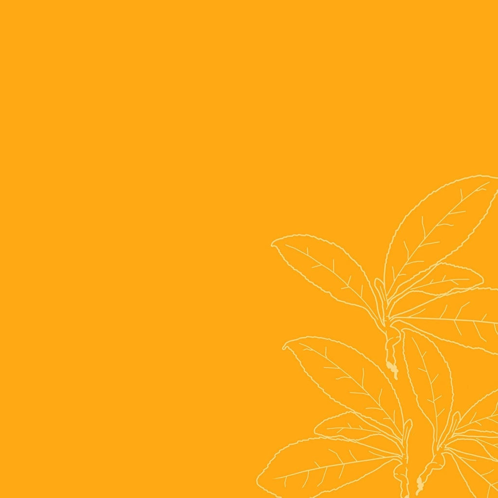 Produs pentru descurcarea parului hidratant fără greutate Sticlă de 237 ml pentru păr creț/ ondulat Produse pentru descurcarea părului Naty Shop