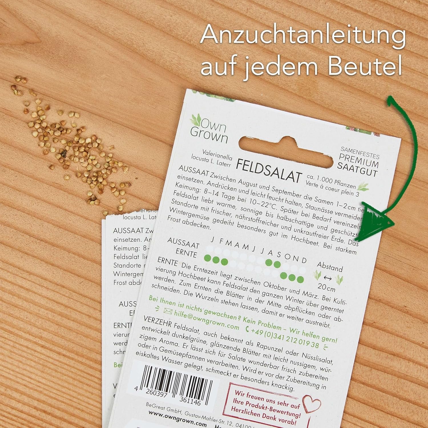 Lettuce Seeds: Set of 8 Varieties of Salad Seeds for the Garden and Balcony - Lettuce Seeds, Mustard Leaf, Lamb's Lettuce (Hardy), Radicchio, Endive Seeds, Chicory - Salad Vegetable Seeds from OwnGrown