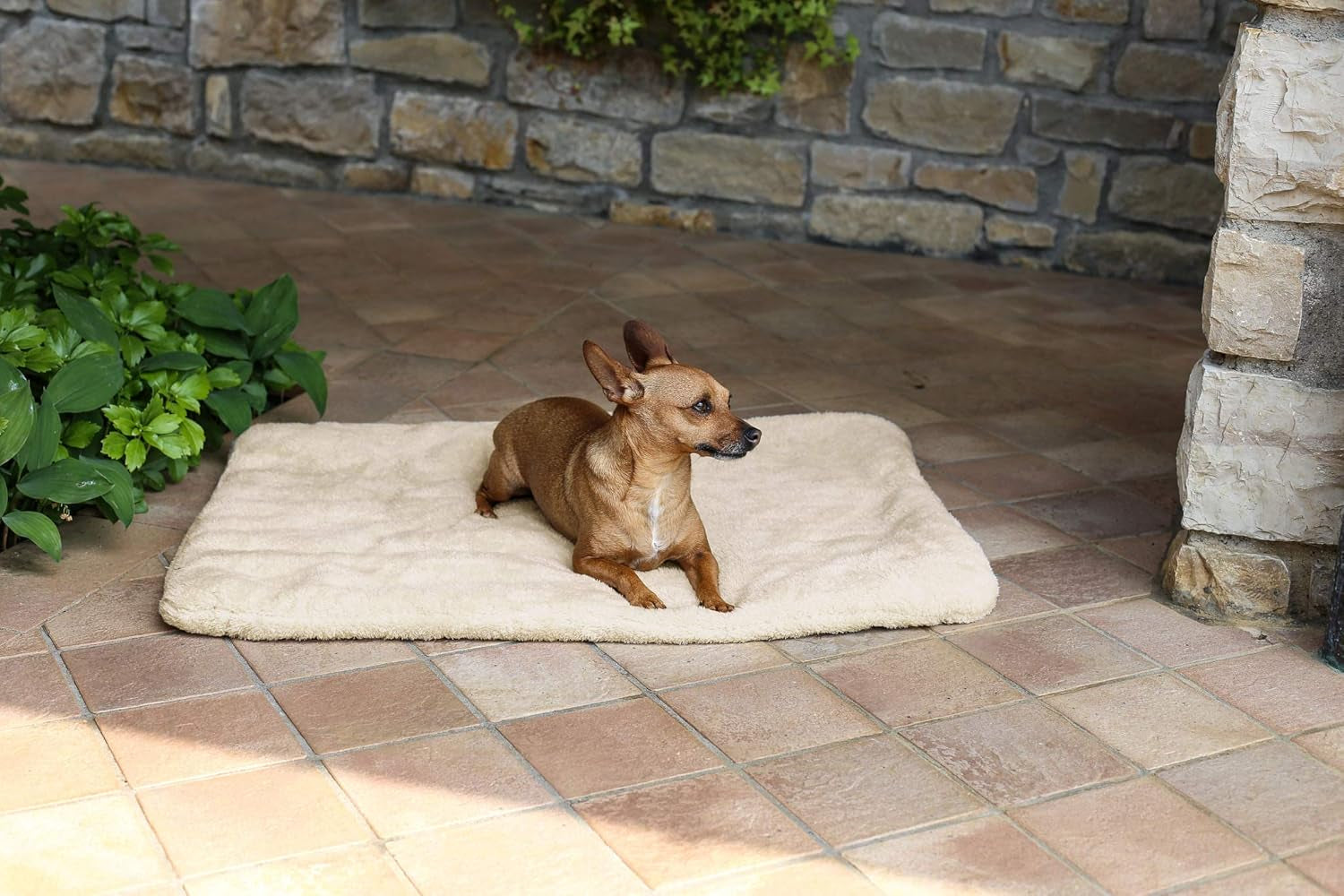 Sogni E Capricci Super Soft Mat, Cream, 104X75CM, Polyester, Duvets and Quilts Naty Shop Cream 104X75Cm