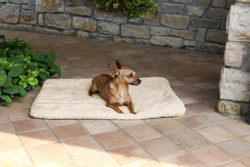 Sogni E Capricci Super Soft Mat, Cream, 104X75CM, Polyester, Duvets and Quilts Naty Shop Cream 104X75Cm