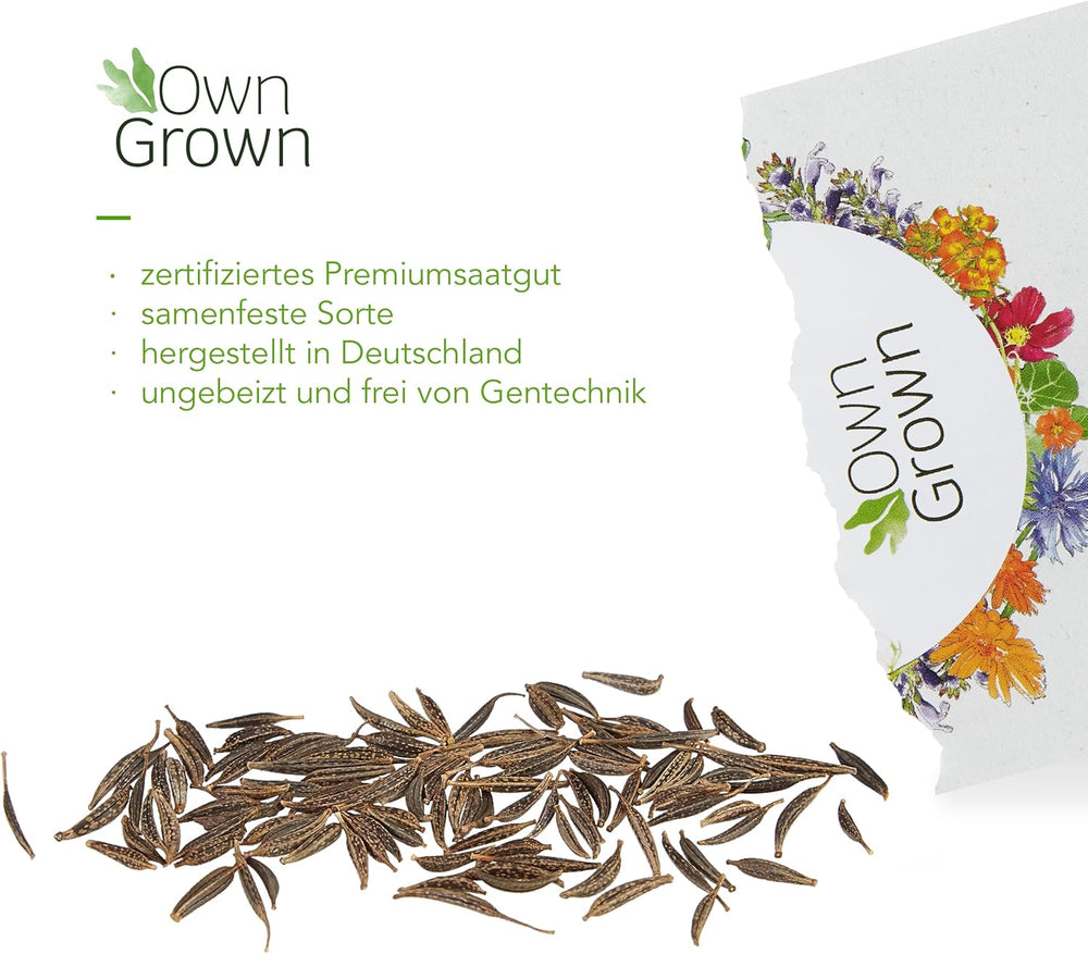 Cosmos Seeds (Mottled): Premium Cosmos Seeds for 100 Flowering Cosmos Plants – Edible Flower Seeds – Colorful Flower Seeds – Wildflower Seeds from OwnGrown