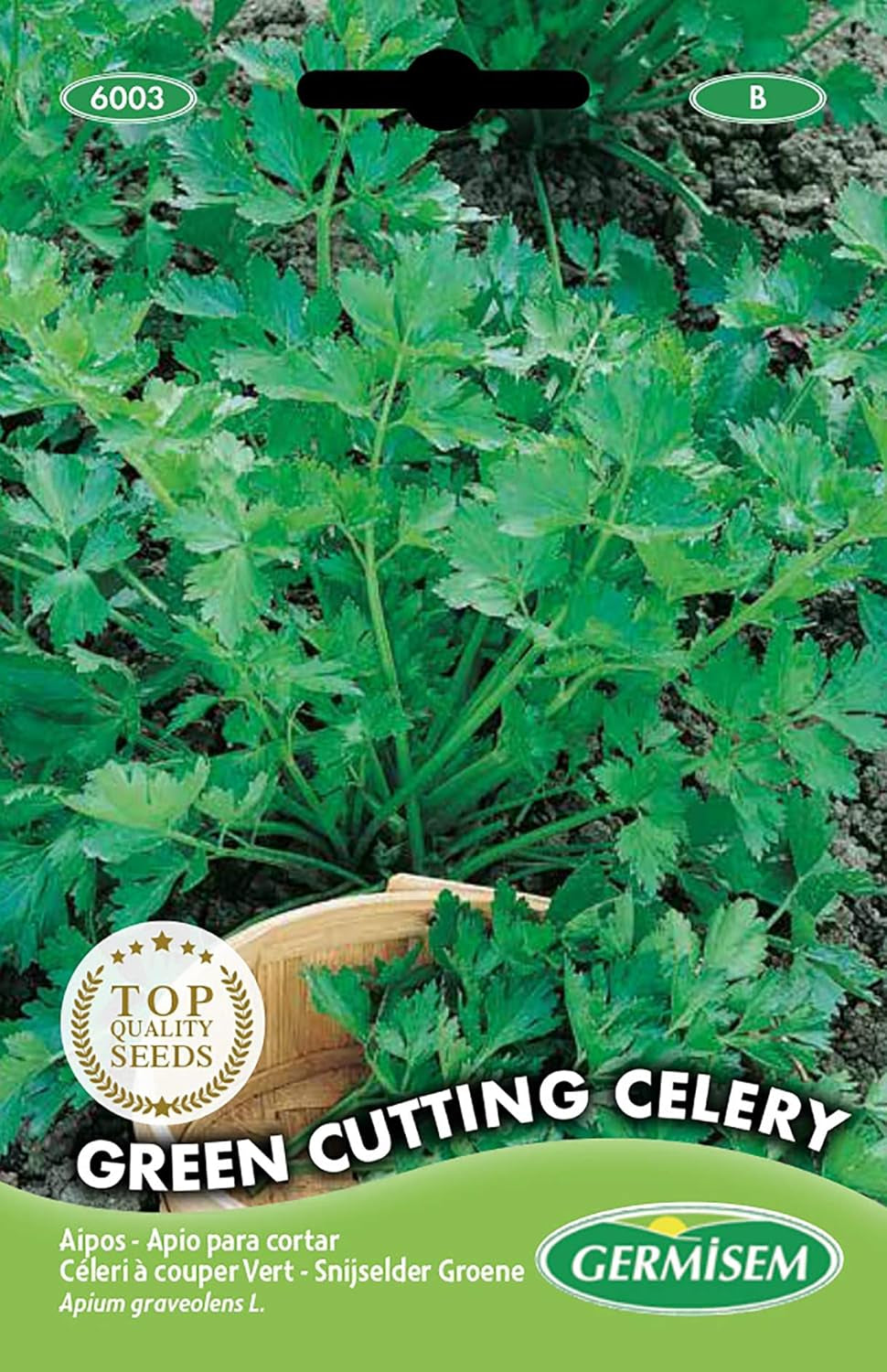 Schnittsellerie GREEN CUTTING CELERY, Mehrfarbig, EC6003