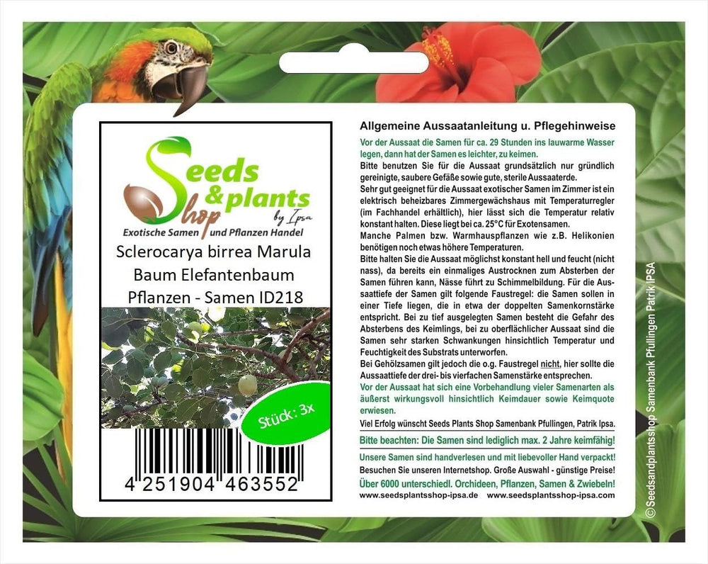 Stk - 3X Sclerocarya Birrea Marula Baum Elefantenbaum Pflanzen - Samen ID218 -
