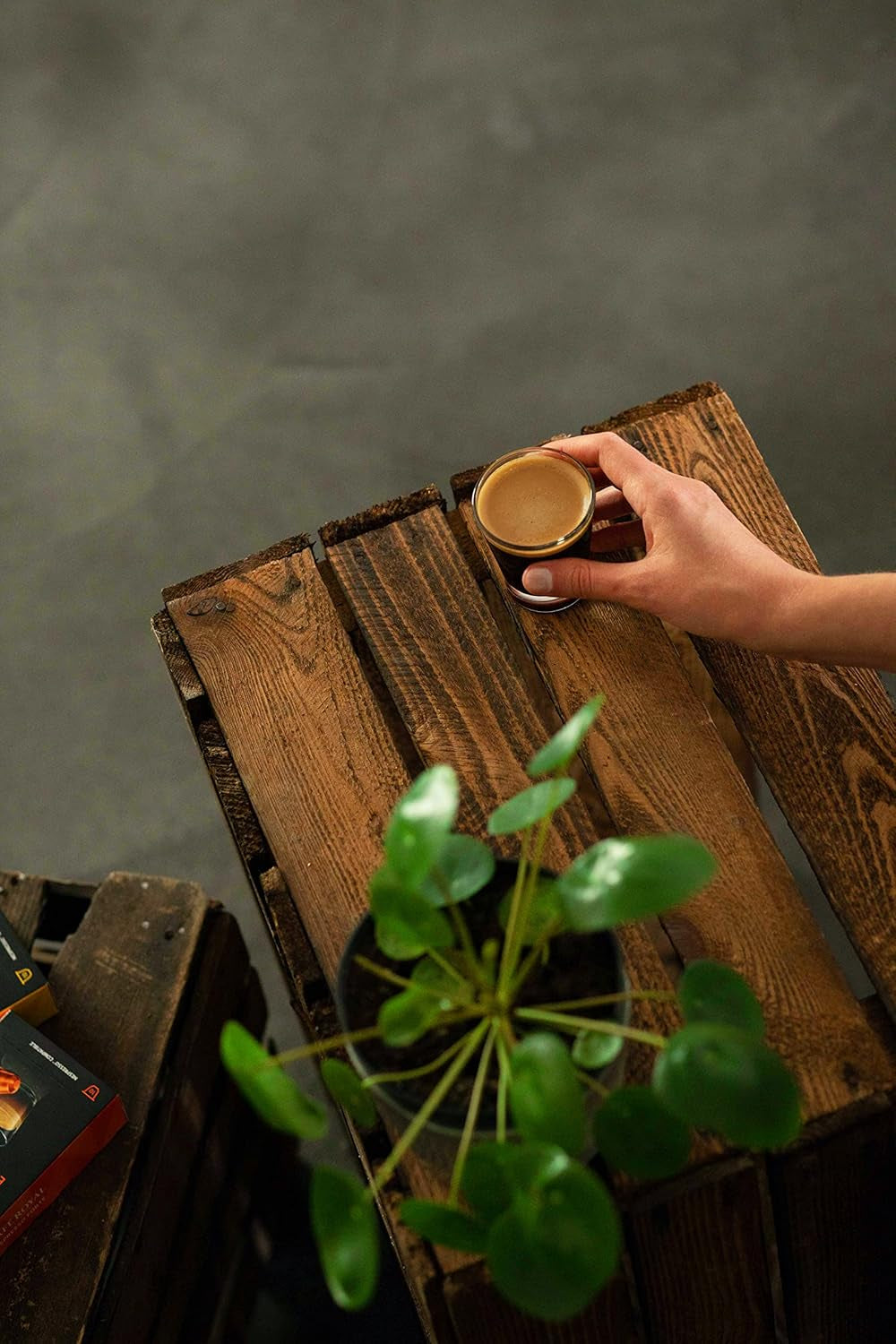 Espresso Forte 36 Kapseln für Nespresso Kaffee Maschine - 8/10 Intensität - UTZ-zertifiziert Kaffeekapseln aus Aluminium (Packung mit 3)