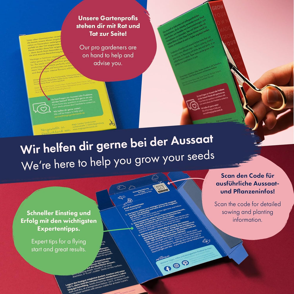 Dried Flowers - 10 Varieties of Free Pollinated Flowers - Everlasting and Beautiful - Seed Set for Beginners, as a Small Gift or for Personal Use