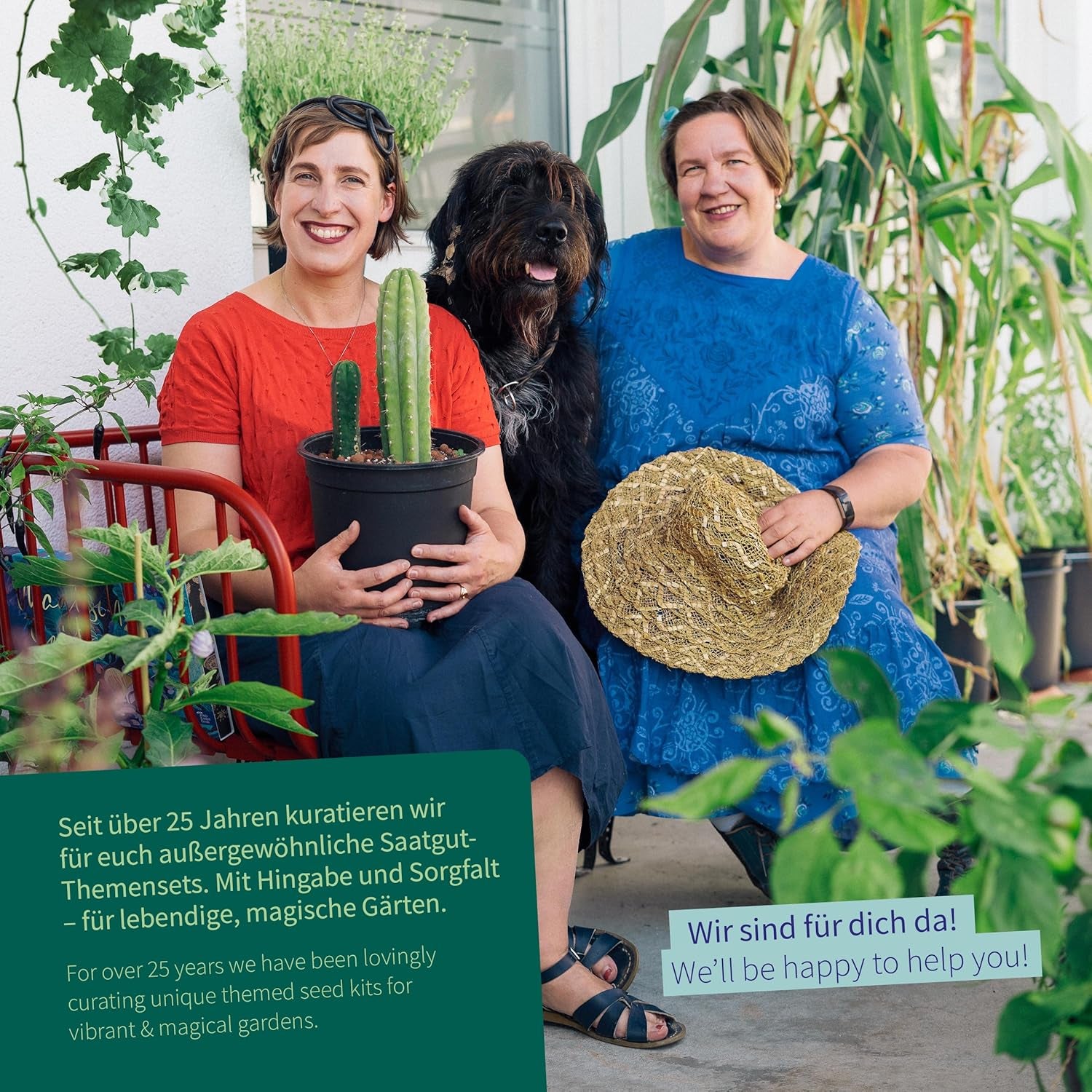 Magic Garden Seeds - Herbs for Cats: Catnip, Valerian, Sage and Catnip - Seed Box with 4 Plants for Play, Nibbles and Relaxation