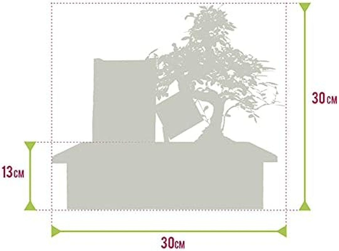 Vdvelde.Com - Bonsai-Starter-Set Buddha-Wasserfall - • Buddha-Wasserfall-Set Mit Netzstromanschluss • 30 X 13 Cm ↥ Ca. 30 Cm • Inkl. Pflegeleichtem Wassersystem + Pflegeset