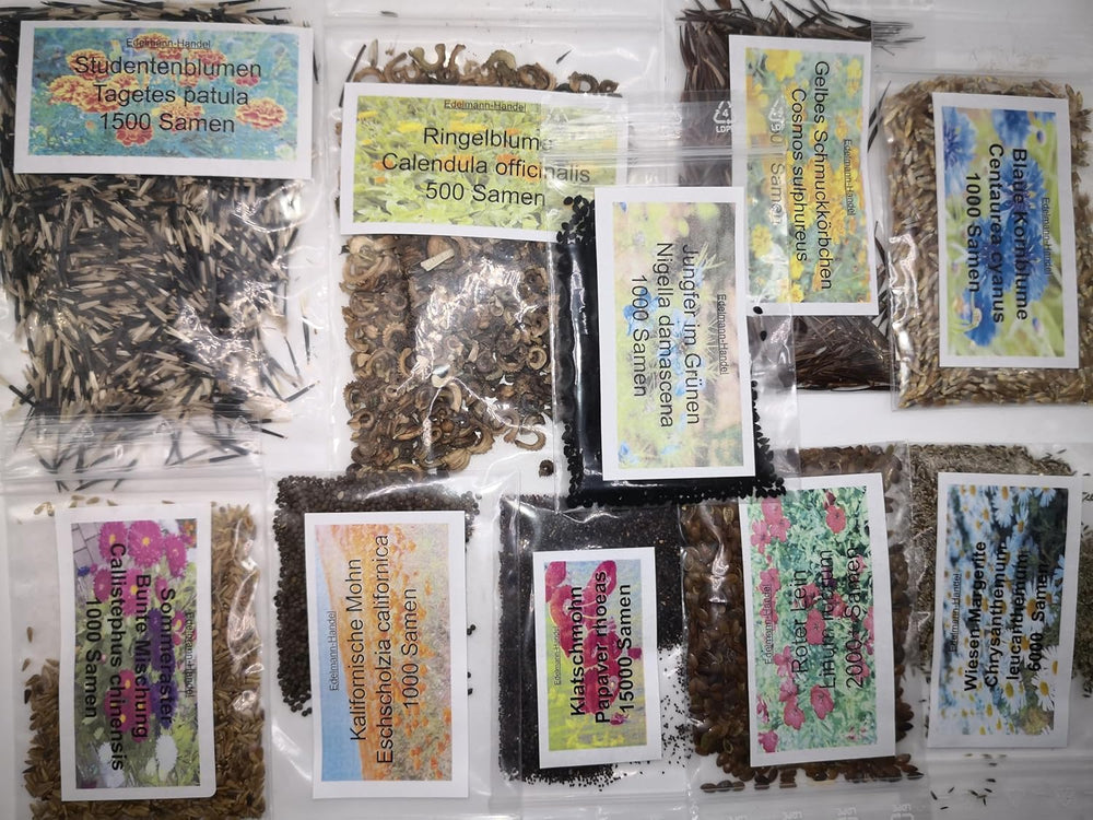 Wildflower Seed Set, 10 Varieties, 28,000 Seeds, Meadow Wildflower Mix with Poppies, Bluebells, Marigolds, Daisies and More, All Individually Wrapped