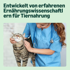 Hrană umedă pentru pisici de la Amazon, fără cereale, pentru pisici adulte, selecție mixtă în jeleu, 4,8 kg (48 de pachete a câte 100 g fiecare)