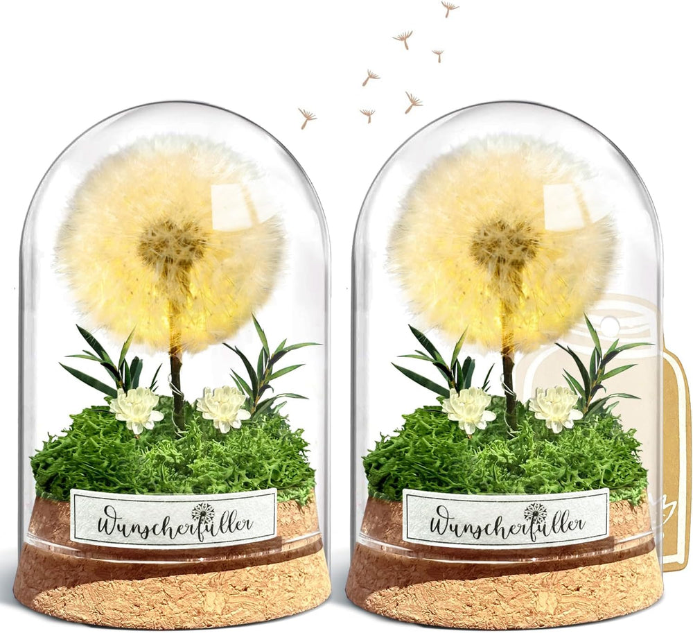 Wunscherfüller Mit LED Licht, Echte Pusteblume Im Glass, Ewig Geburtstagsgeschenk Für Frauen Freundin Mädchen Geschenke Für Geburtstag Hochzeit Jugendweihe Weihnachten Valentinstag