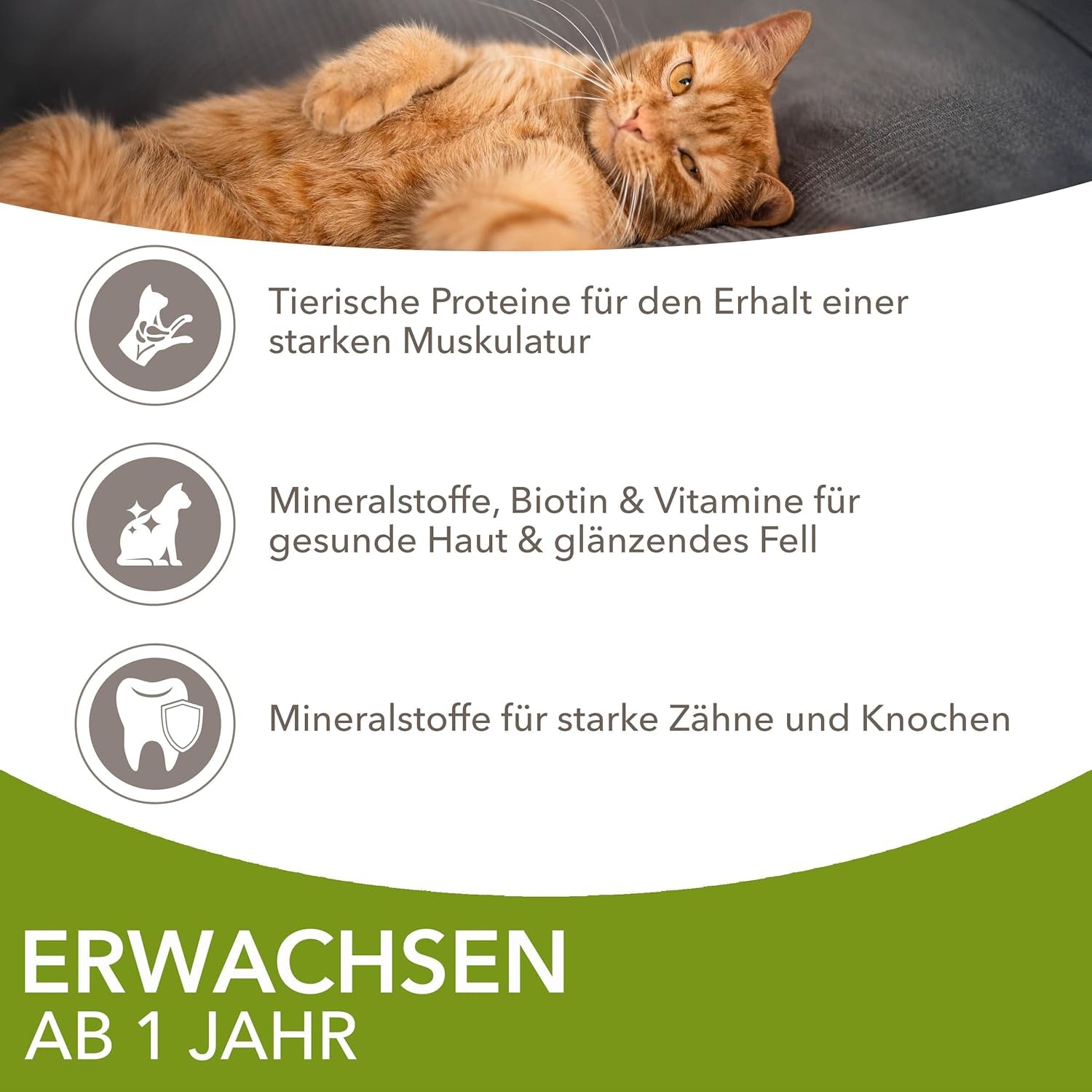 IAMS Delights Land Collection Hrană umedă pentru pisici - Pachet multiplu cu varietăți de carne (miel, vită, pui și curcan) în sos, hrană umedă pentru pisici de la 1 an, 12 x 85g